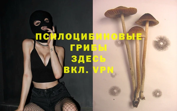 альфа пвп Данков